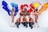 Аватар пользователя Бразильское шоу BRAZIL CARNIVAL SHOW